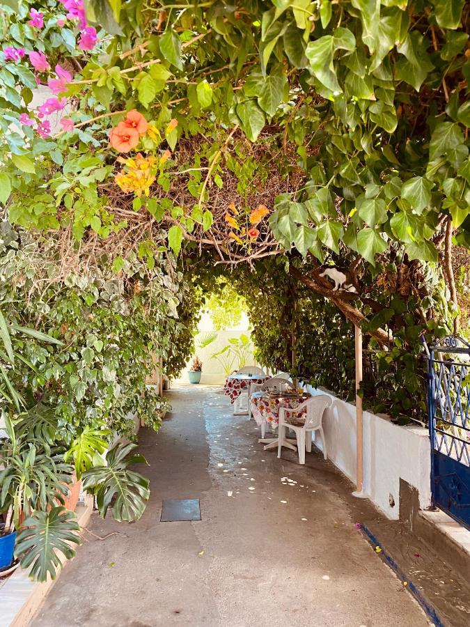 Afroditi Pension Archangelos  Exterior photo